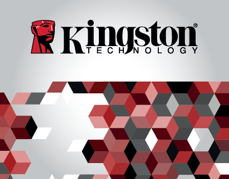 Kingston Technology - Encrypted & Secured USB Drives