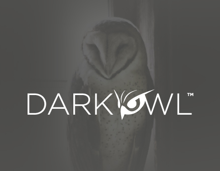 DarkOwl - DarkNet Big Data